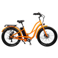 Alloy Frame Fat Tire Woman E Bike LCD Display Beach Electric Scooter Power Motor